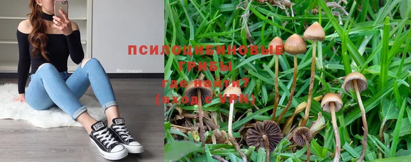 соль курить ск Новозыбков