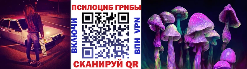 где можно купить   Чкаловск  Галлюциногенные грибы Magic Shrooms 